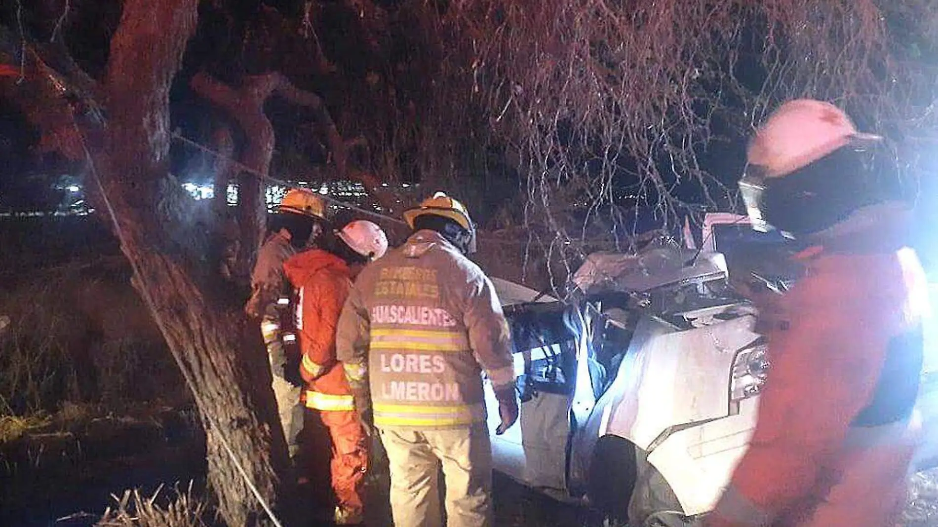 Auto chocado contra un árbol